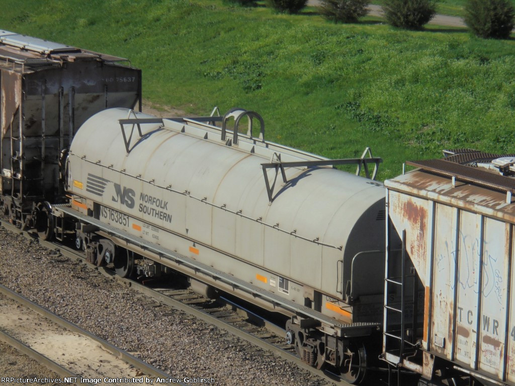 NS 163851 leaves